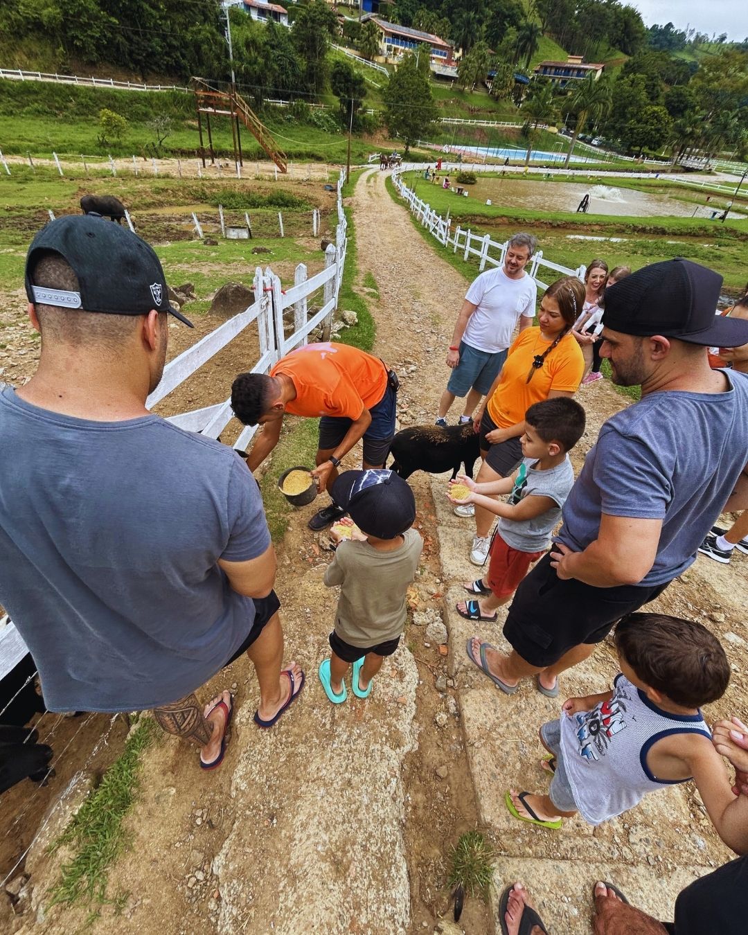 Famílias alimentando os animais da fazendinha